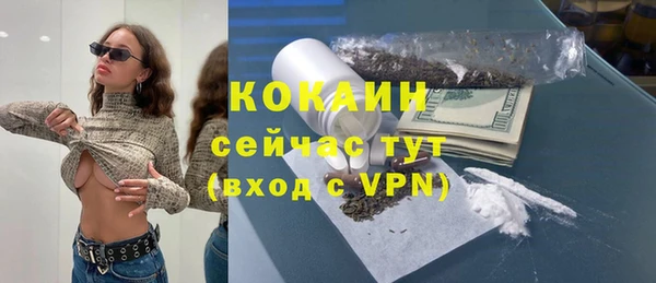 гидра Михайловка