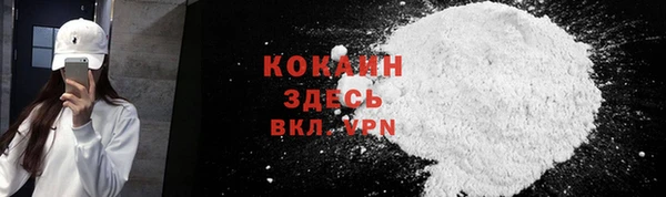 гидра Михайловка