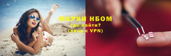 гидра Михайловка