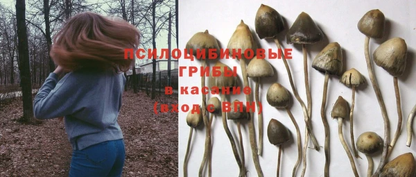 гидра Михайловка