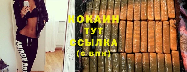 гидра Михайловка