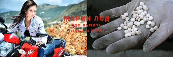 гидра Михайловка