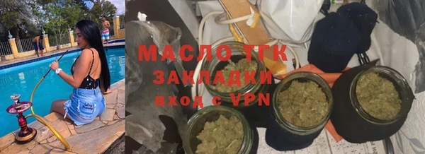 гидра Михайловка