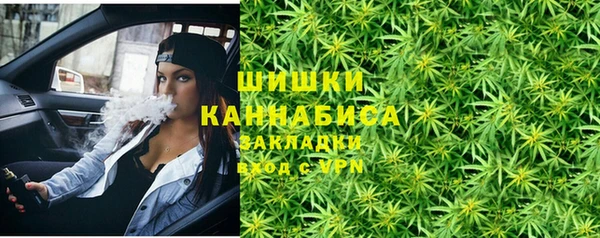 гидра Михайловка