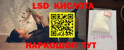 индика Гусев
