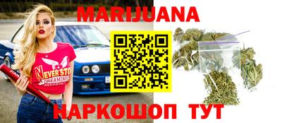 индика Гусев