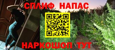 индика Гусев