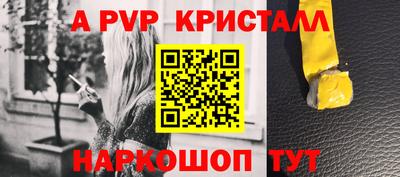 индика Гусев