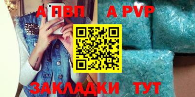 индика Гусев