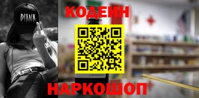 индика Гусев