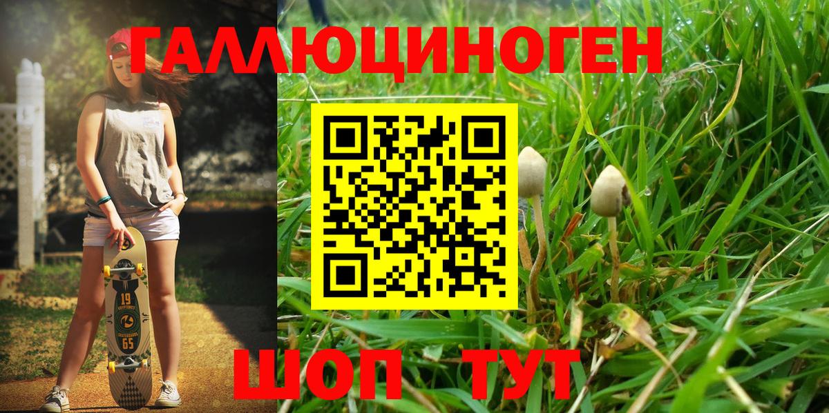 Псилоцибиновые грибы GOLDEN TEACHER  Вход с VPN  Каменка 