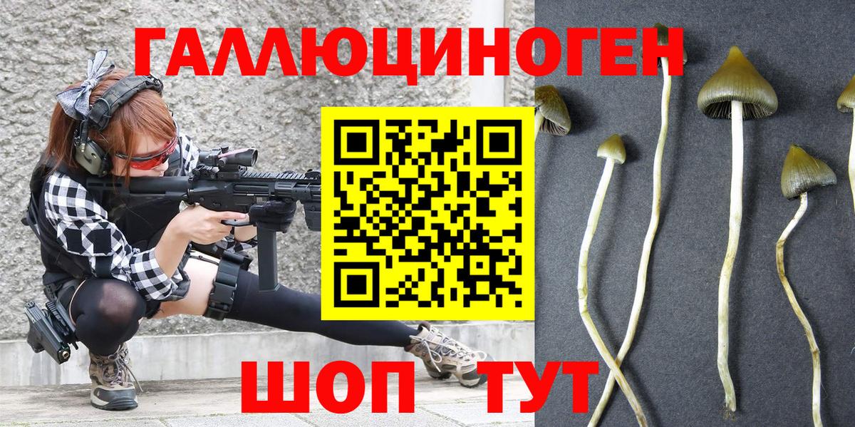 Галлюциногенные грибы прущие грибы  Каменка 